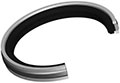 Metric Capped Piston Seals